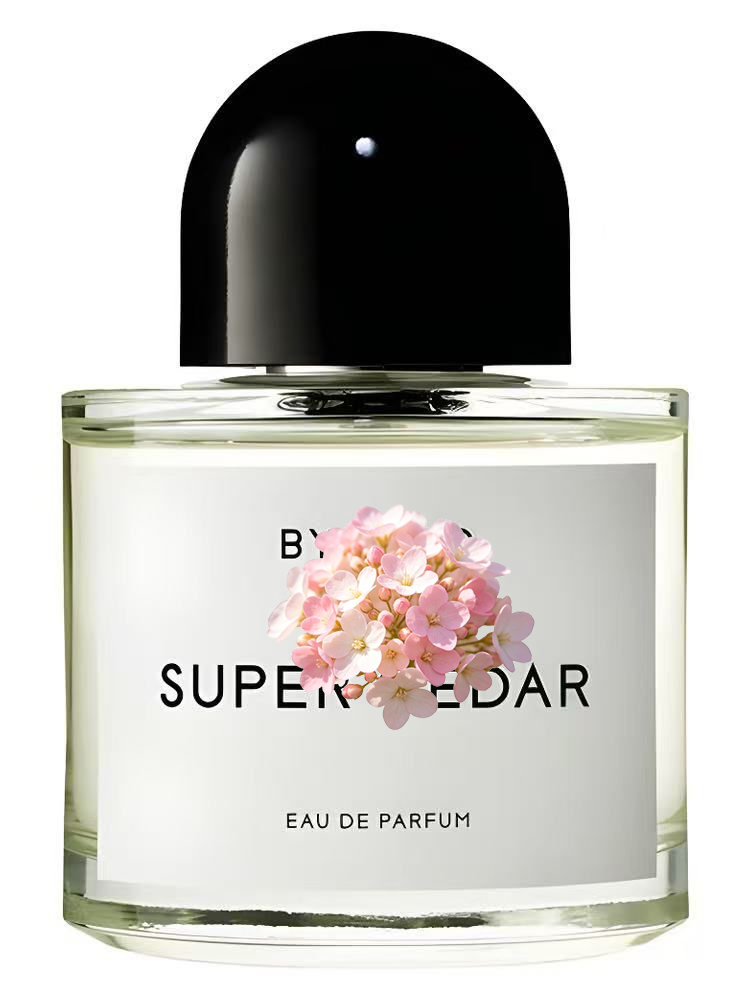 Eau de Parfum Unisex 100ml 3.4 - Perfume Scent Fragrance recensione e prezzo
